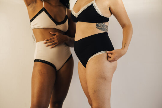 image of the torso of two women wearing underwear.