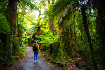 Fototapeta premium pretty girl enjoys a walk in a forest, backpacker surrounded with native vegetation in fiordland national park, new zealand south island