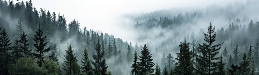 Foggy Day in the Mountains Website Banner, Website Header