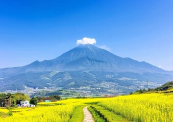 Vibrant Yellow Flower Field with a Majestic Mountain Background Under a Clear Blue Sky