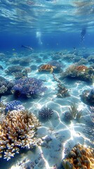 Fototapeta na wymiar Sunlit Coral Reef Under the Sea: Vibrant Marine Life and Coral Gardens Highlighted by Natural Sunlight Penetration