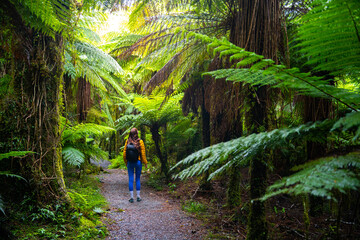 hiker girl admiring unique vegetation of native rainforest in mount aspiring national park, new...