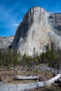 Path to El Capitan, Yosemite