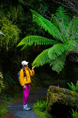 hiker girl walking through dense temperate rainforest on the way to monro beach, west coast of new...