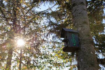 A birdhouse with musical notes painted on it is sitting on a tree branch