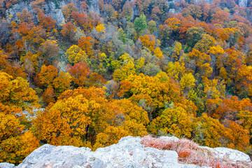 Beautiful autumn colors at Mount Magazine State Park.