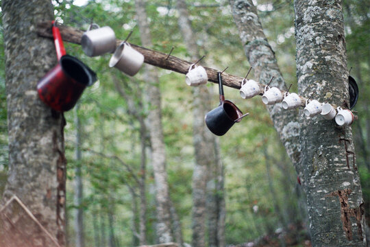 Dishes in the camp