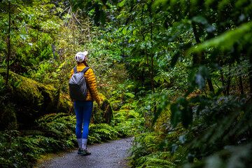 adventurous hiker girl walking through lush rainforest full of large tree ferns in mount aspiring...