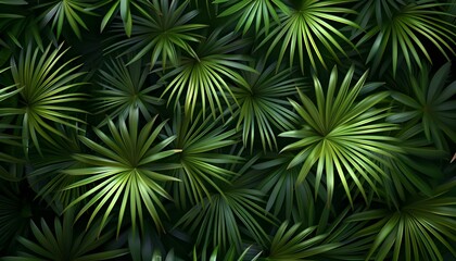 Naklejka na ściany i meble Palm leaves green pattern, abstract tropical green background