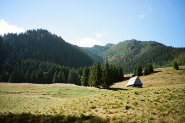 Wooden house in the mountains in autumn