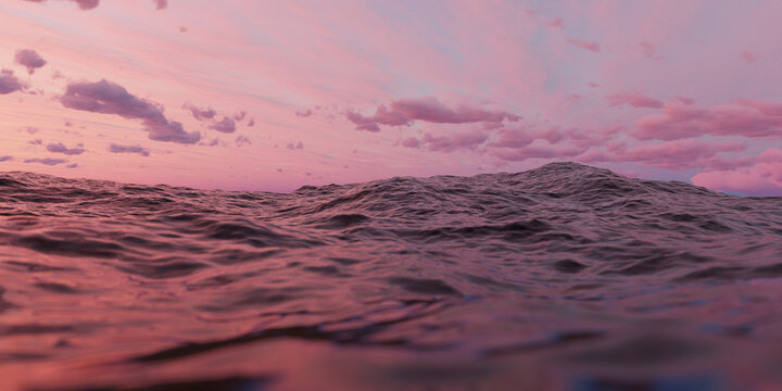 Swimming in the ocean at sunset