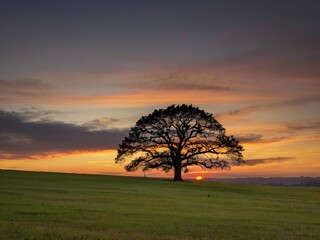 Fototapeta na wymiar Sunset in the countryside