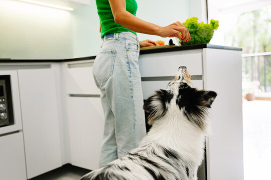 Woman feeding vegetables to her dog