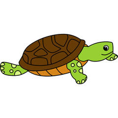Turtle Illustration Cartoon