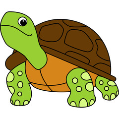 Turtle Illustration Cartoon