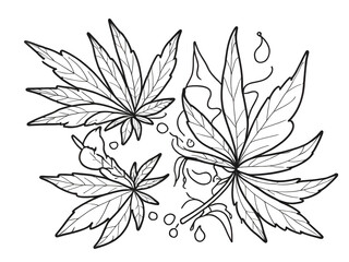 Fototapeta premium Coloring Book Cannabis Leaf