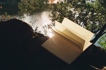 writing after meditation in nature