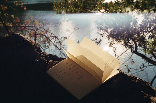 Journal pages open in the wind with filmic light leak