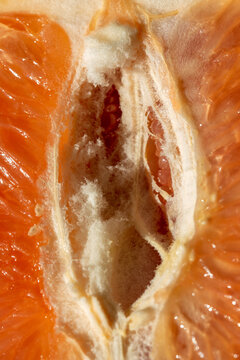 Close Up of an Orange half. Vagina Concept
