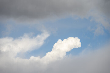 Obraz premium Interesting cloud formations in an evening sky, as a nature background 