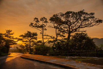 Fototapeta premium 日の出風景