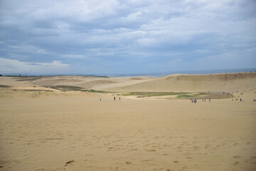 Fototapeta na wymiar 一面砂景色の鳥取砂丘