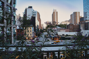 Fototapeta na wymiar the high line view at New York City
