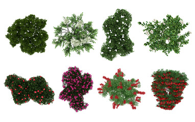 3D Top view flourishing Trees and shrubs with red and white flowers Isolated on white background, use for visualization in graphic design. 3D RENDERING.