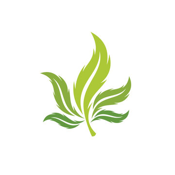 marijuana extract logo, CBD logo design