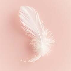 A crisp white feather floating gently against a clean
