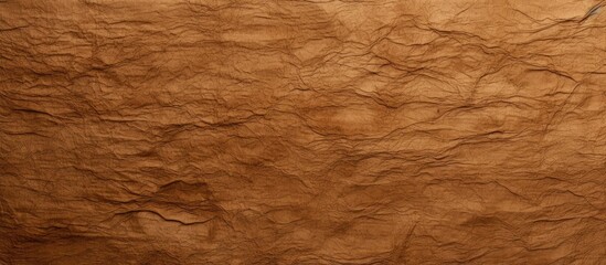 Fototapeta premium Brown paper texture with raised fibers