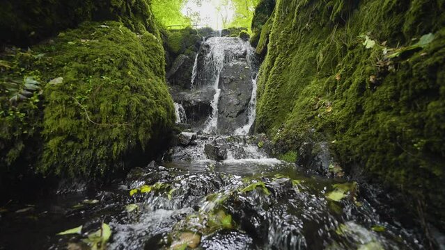 Water crashing down rocky waterfall green moss under bright forest trees