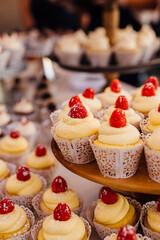 cupcakes with raspberries