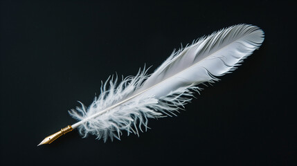 Obraz premium white feather on black background