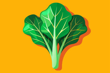 Swiss chard, a leafy green vegetable, is captured in this image against a plain background.