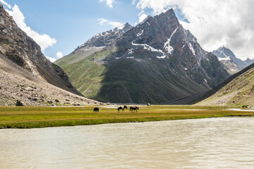 Gazing up the Chalong Nar on a trek from Zanskar to the Warwan Valley, Kashmir, India