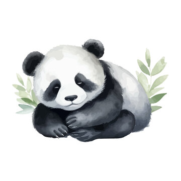 Cute panda cartoon sleeping in watercolor painting style