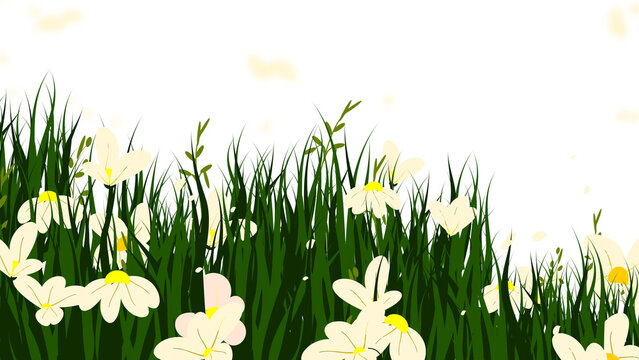 Grass Flowers Field Border, Daisies Meadow Background