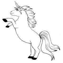Isolated unicorn sketch, black and white mystical horse, fantasy creature, outlines, pony 