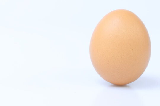 egg
