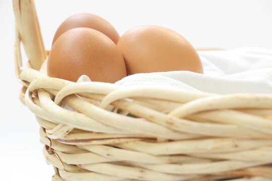 egg