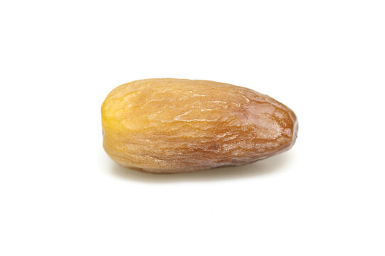 Date Palm