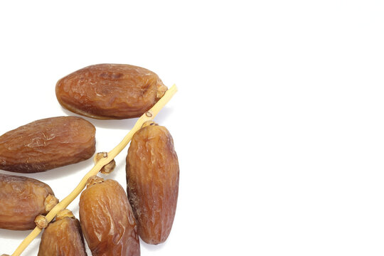 Date Palm