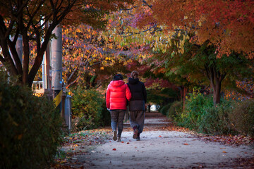A couple of female friend walking on the footpath in autumn