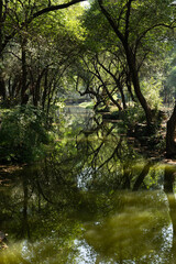 Parque de Chapultepec Ciudad de M&eacute;xico