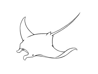 ナンヨウマンタのシンプルな線画イラスト © sokabe