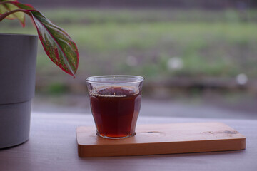 Arabica filter coffee brewed using the V60 method. coffee next to the plants
