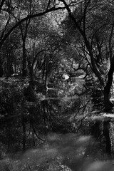 Chapultepec Ciudad d M&eacute;xico M&eacute;xico