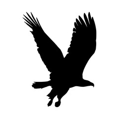 Eagle silhouette