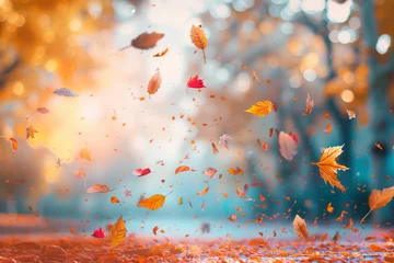 Fotobehang Beautiful fall autumn  © rouda100